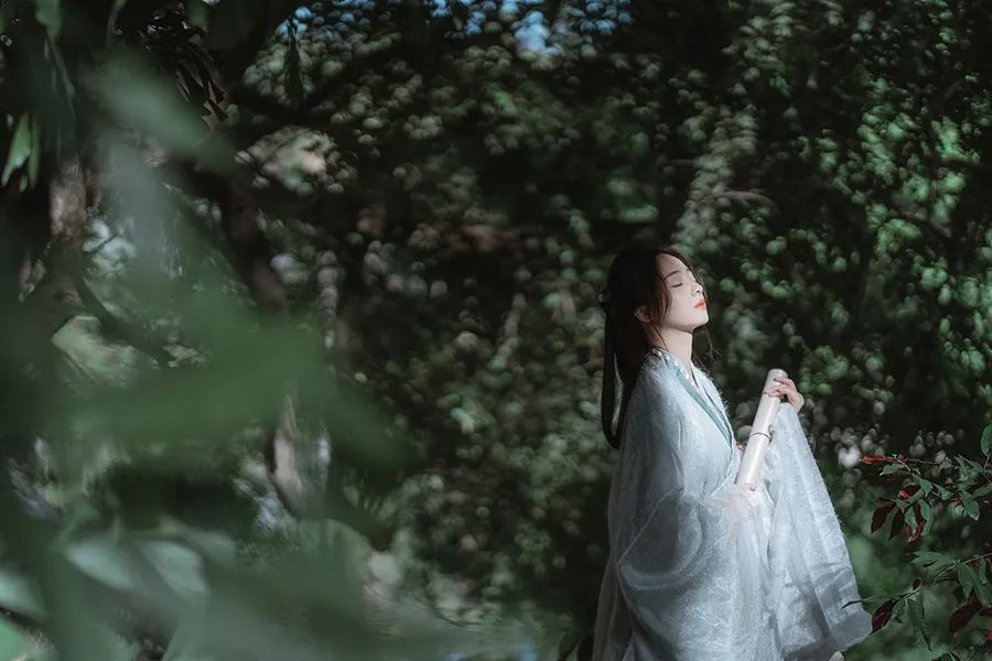 自带仙气古风摄影:疏影横斜水清浅